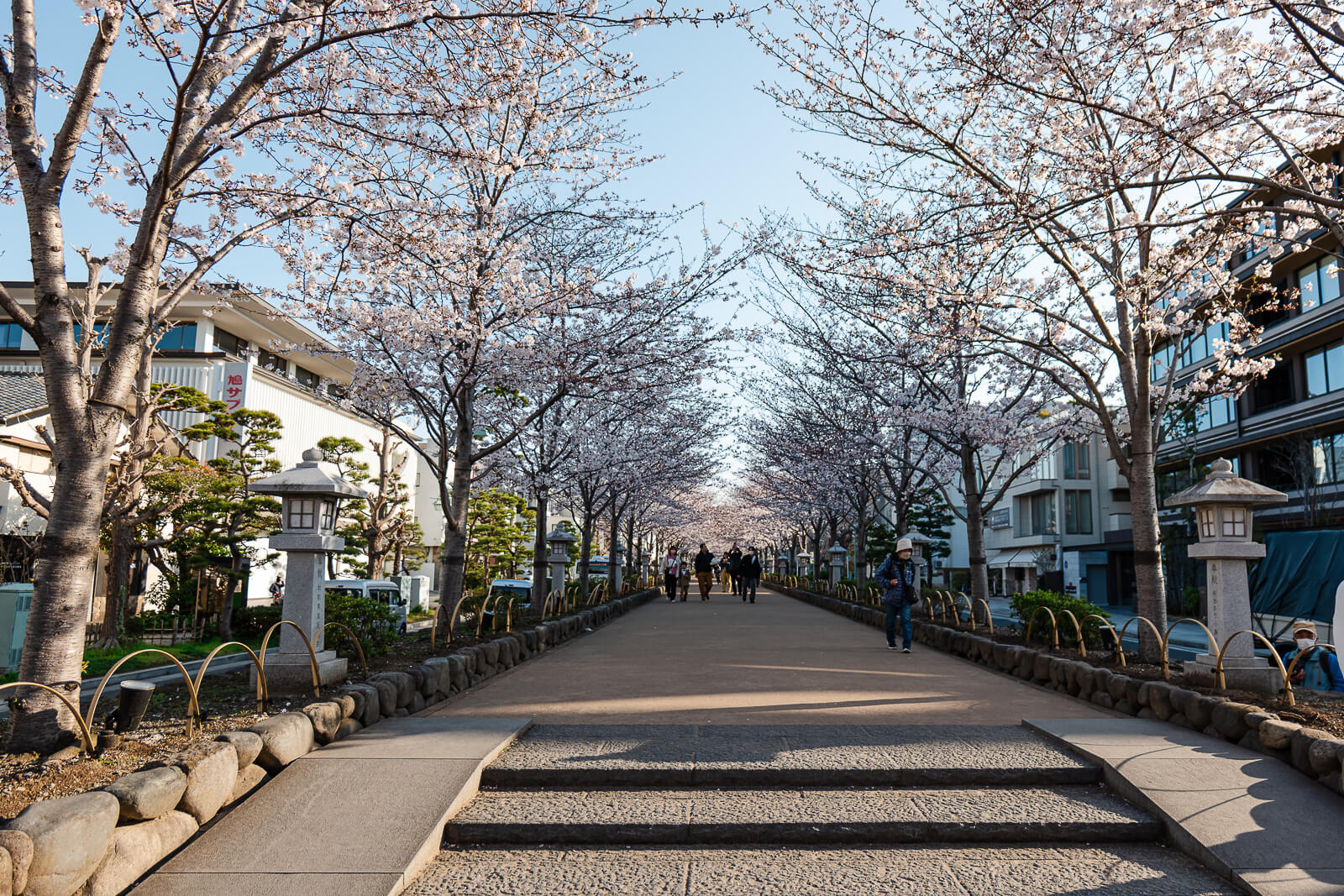 Dankazura Approach