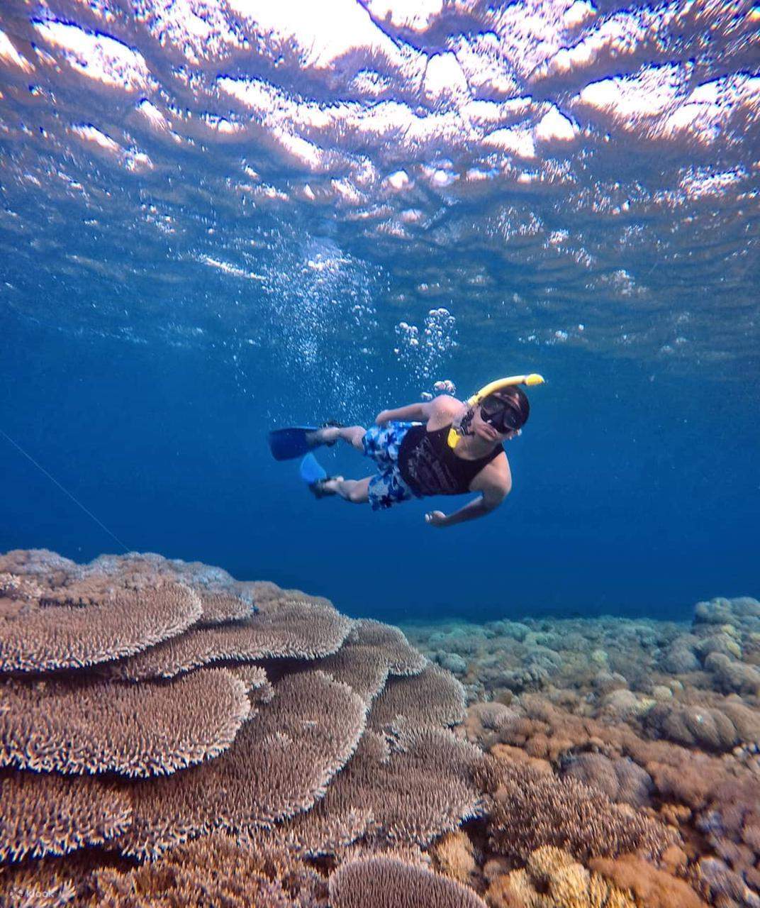 Snorkeling
