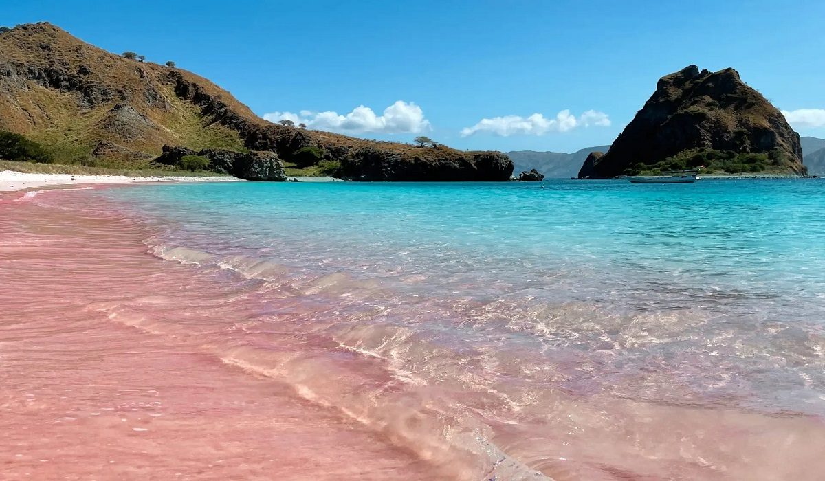 Pink Beach Shoreline