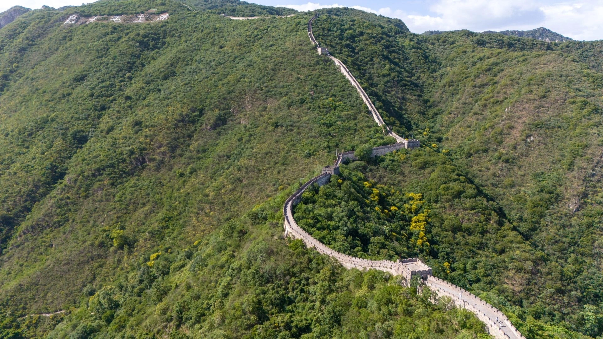 The Connector Ridge