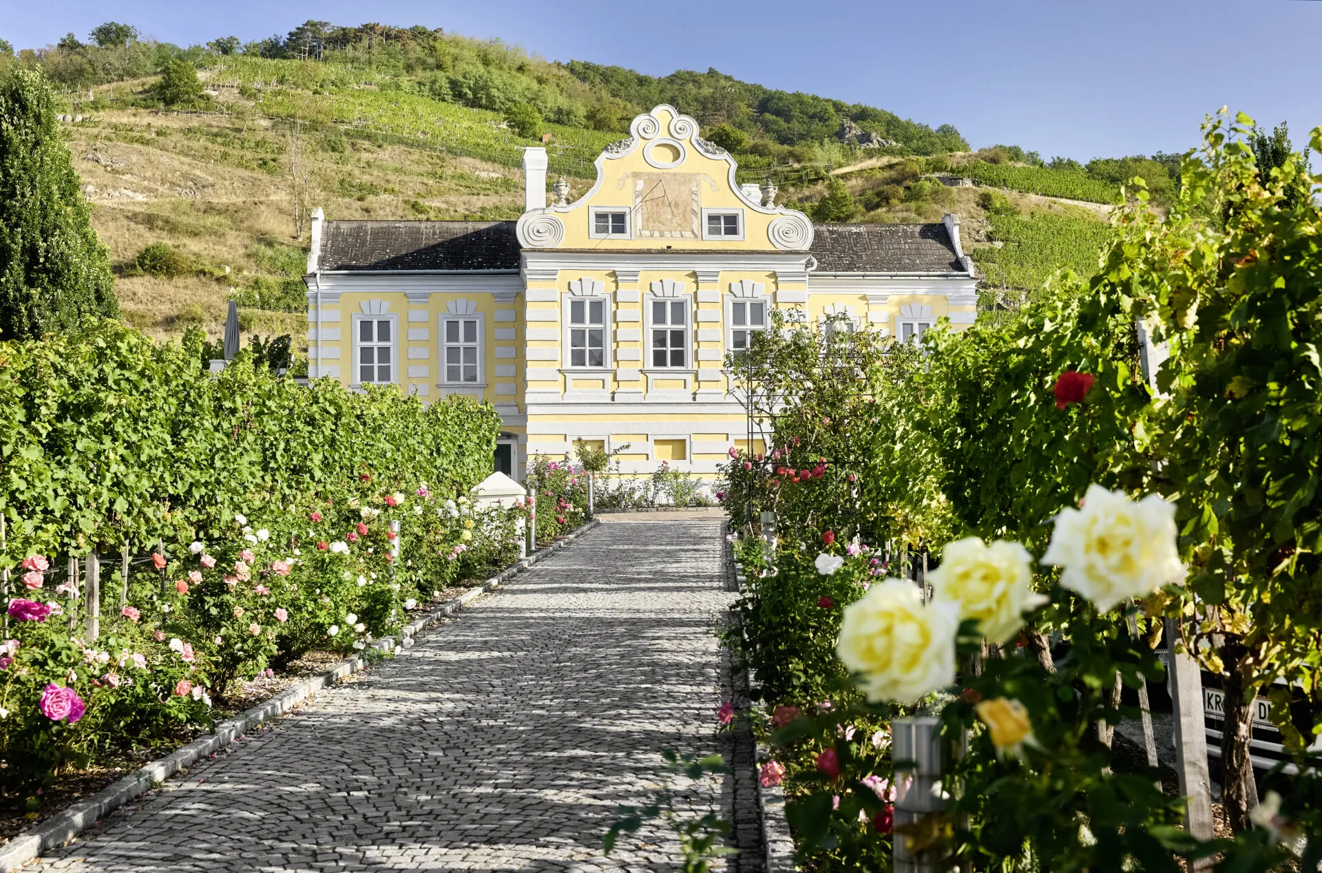 Wachau Valley Wine Tour From Vienna