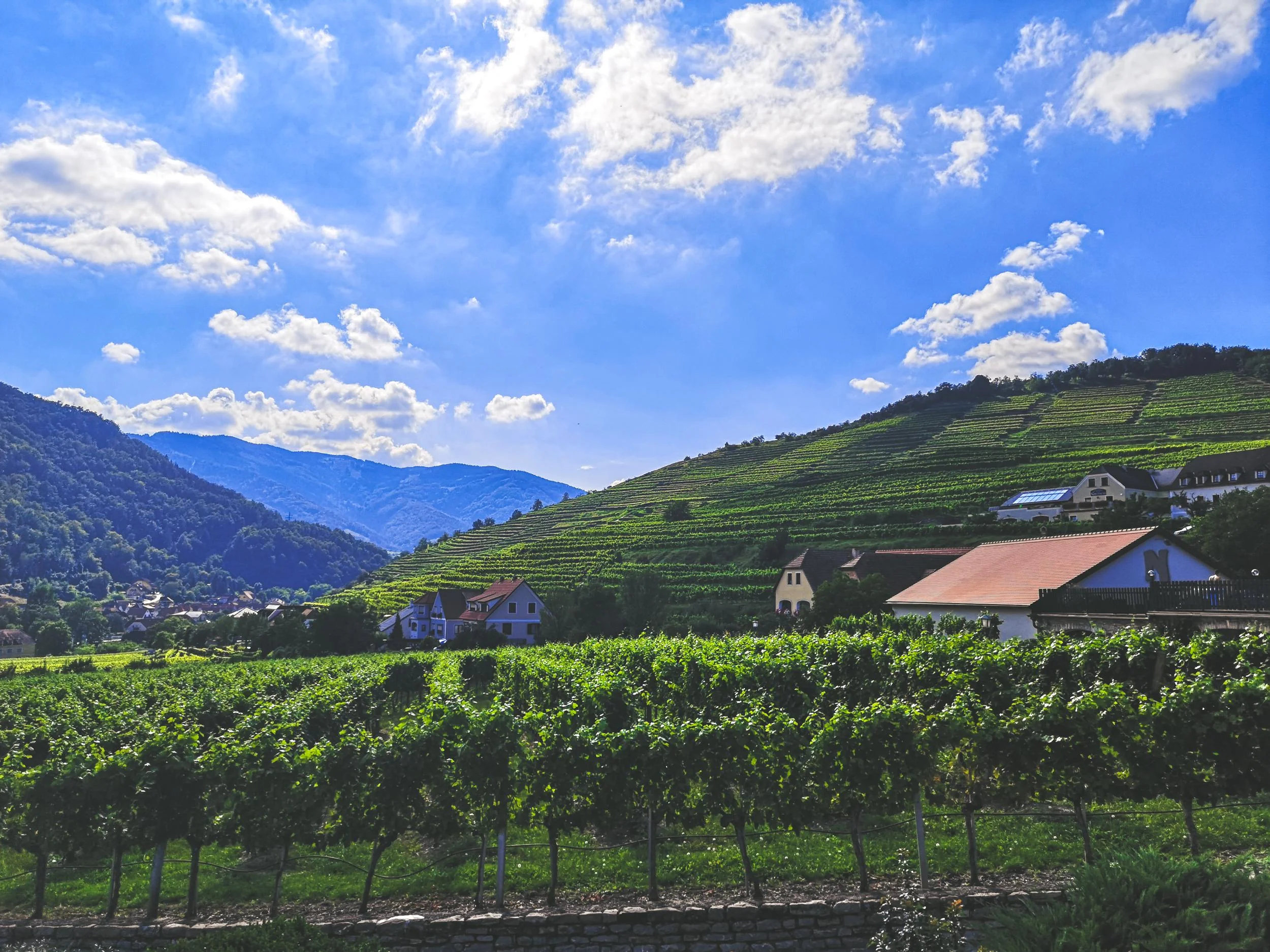 Aussichtspunkt Spitz Weinberge