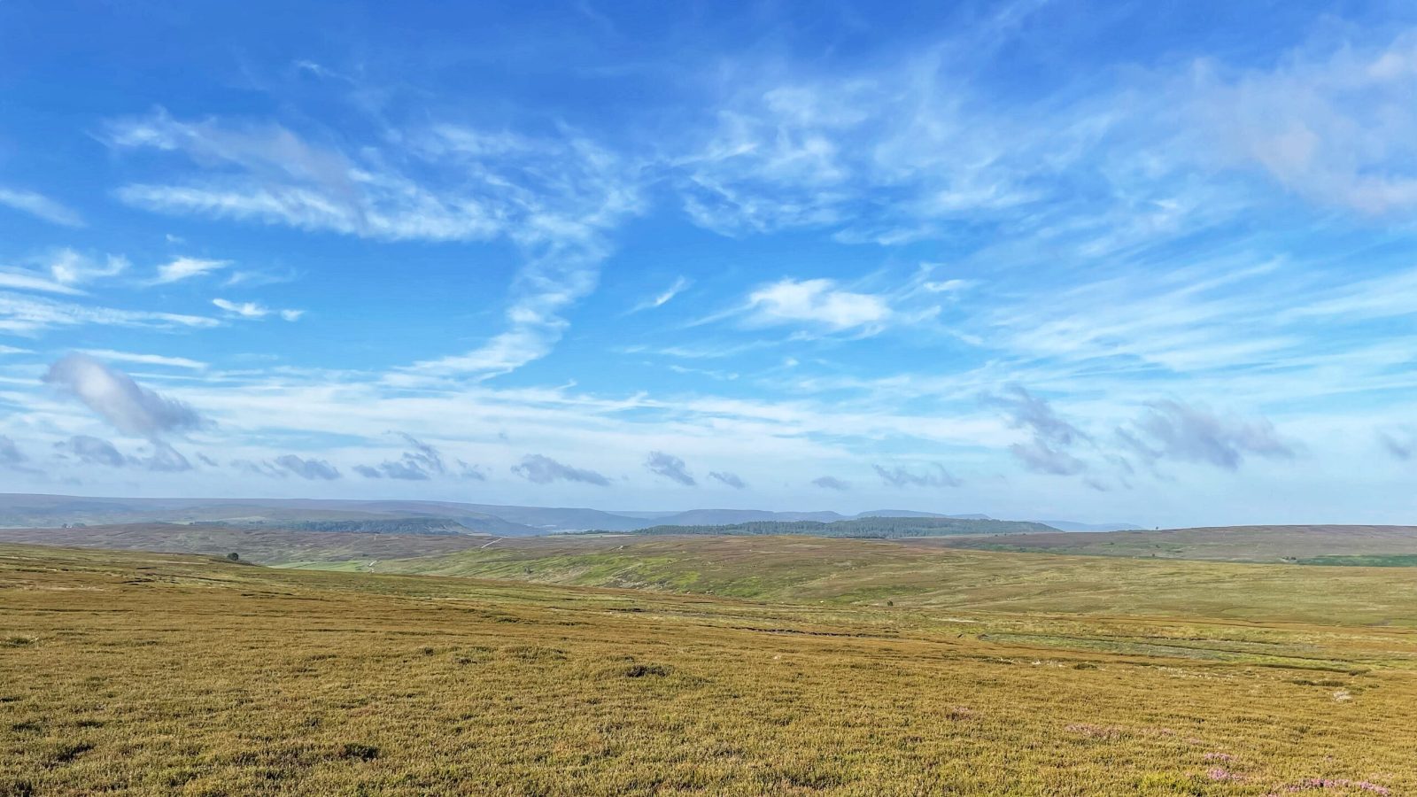 Rannoch Moor