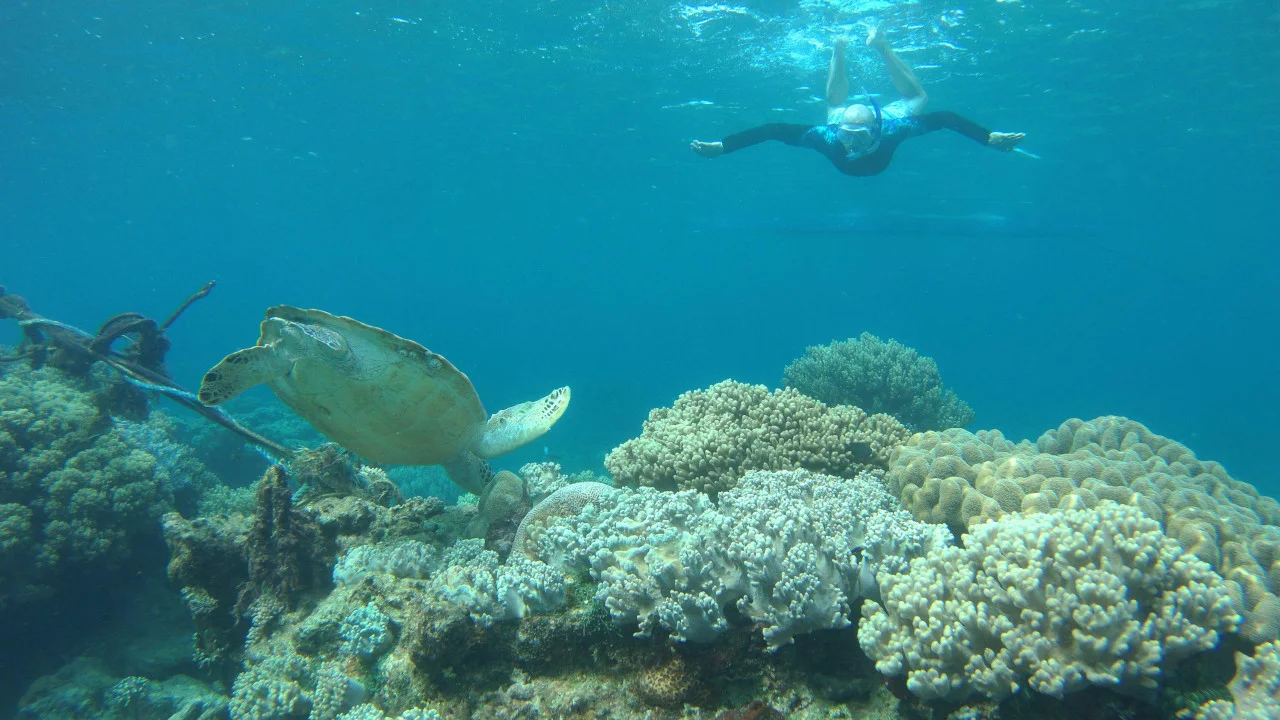 Swimming Stop