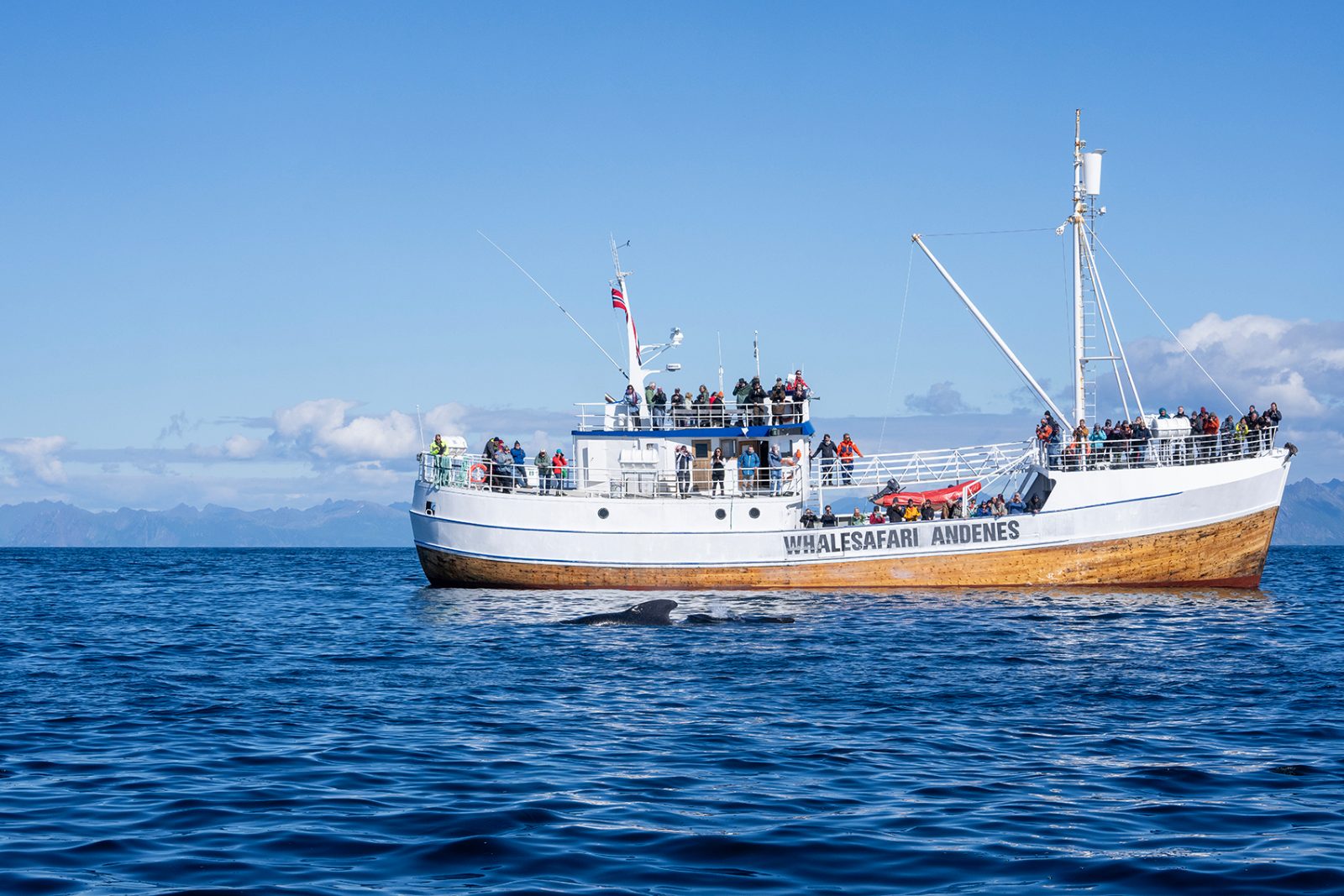 M/S Reine