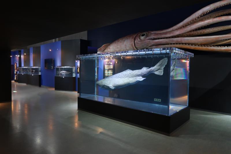 The Deep Sea