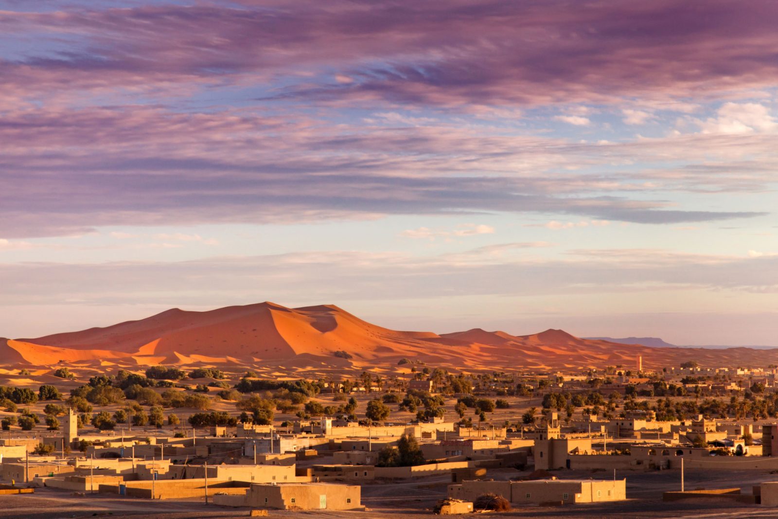 Merzouga Oasis