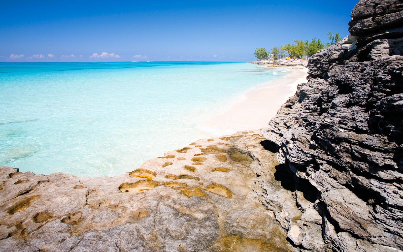 Bimini Beach Shoreline