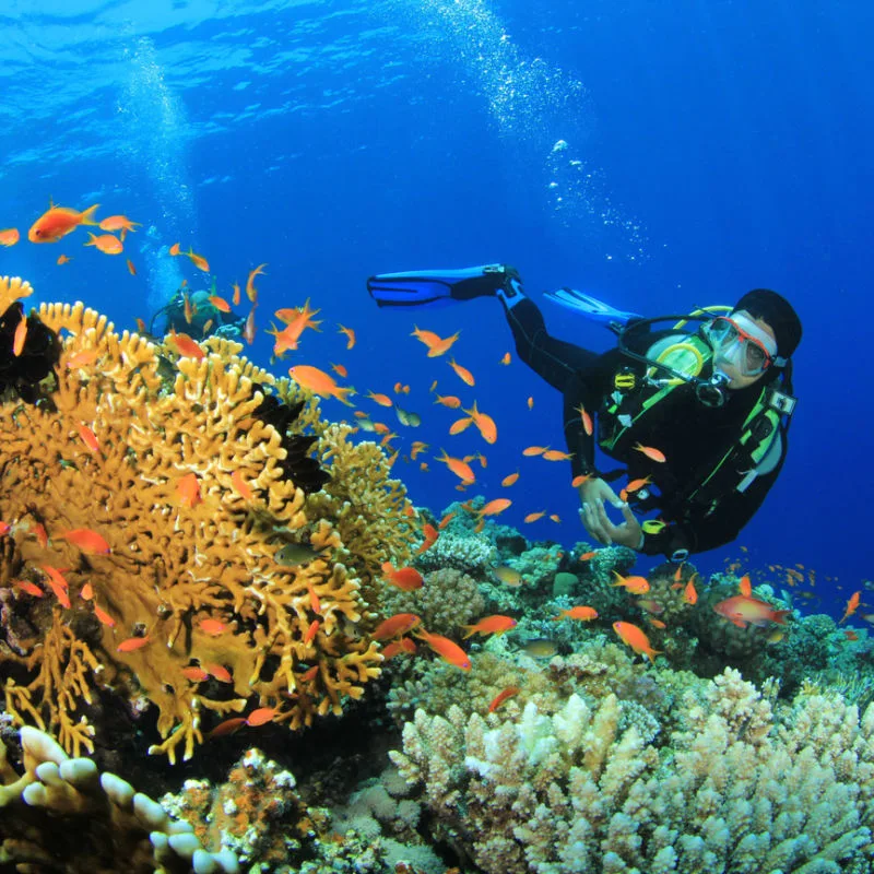 Coral Reef Training Area