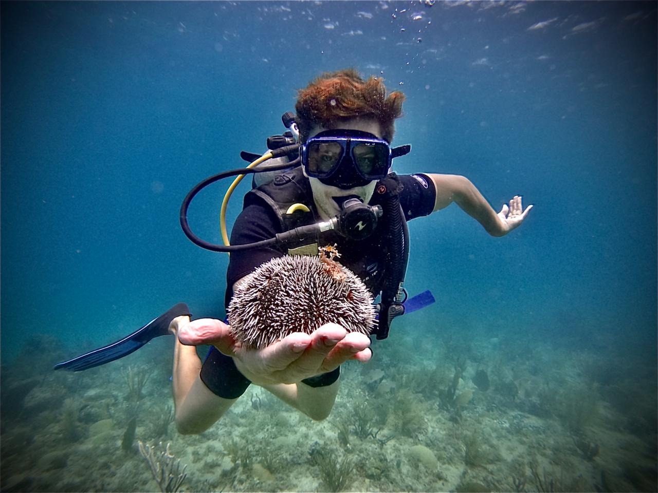 Bávaro Reef