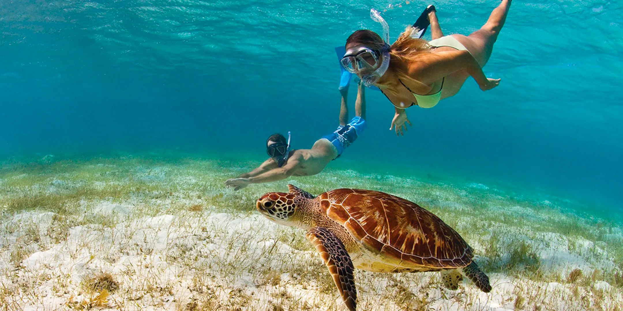Best St Thomas Snorkeling Tours