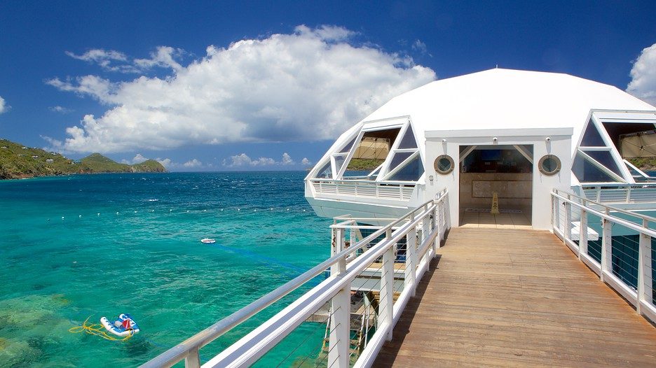 Coral World Jetty