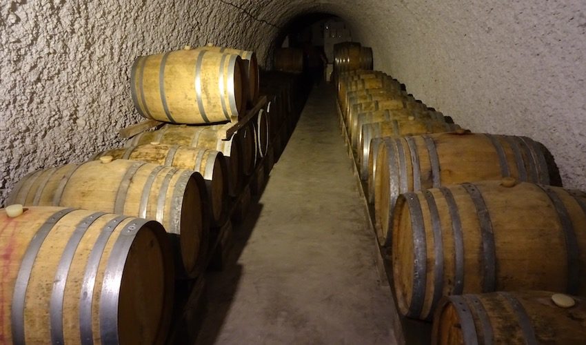 Barrel Room Reflection