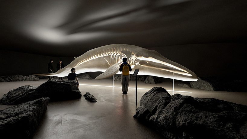 The Whale Center Exhibition