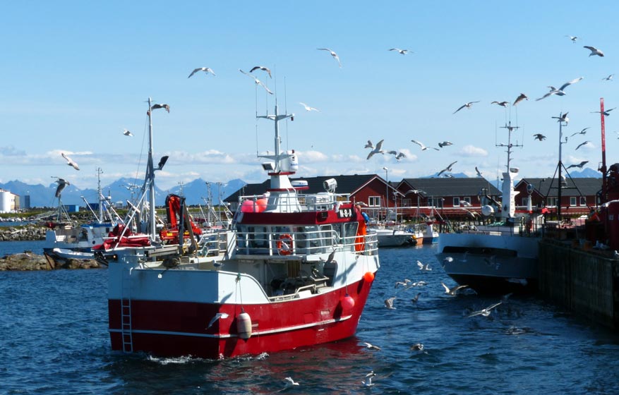 Andenes Harbor