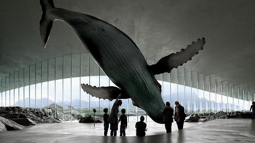 Whale Center Andenes