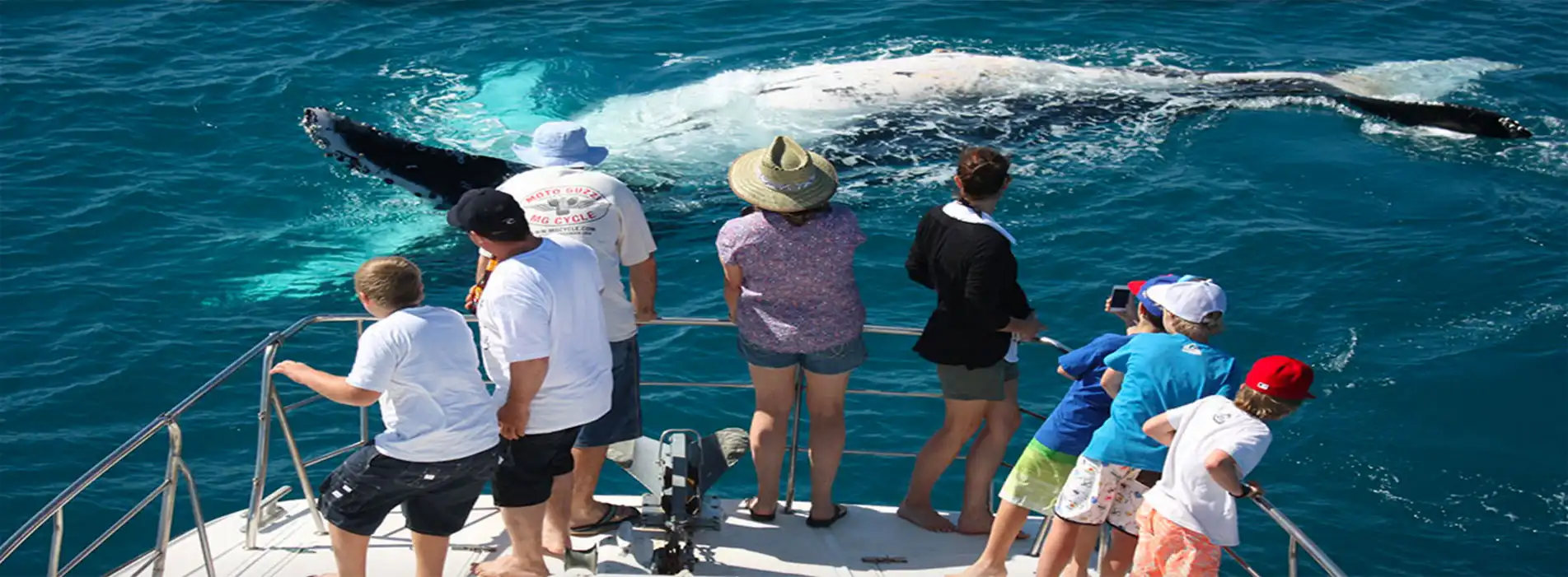 Private Whale Watching Anacortes