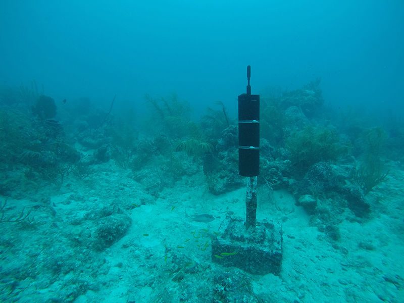 Acoustic Hydrophone Station