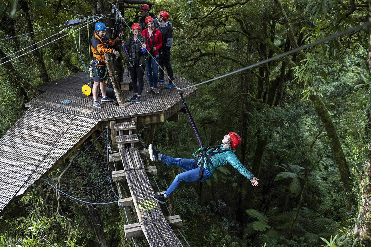 Kaikoura Zipline Tour