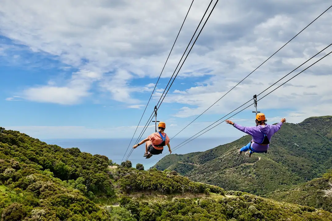 Canopy Suspension Bridge