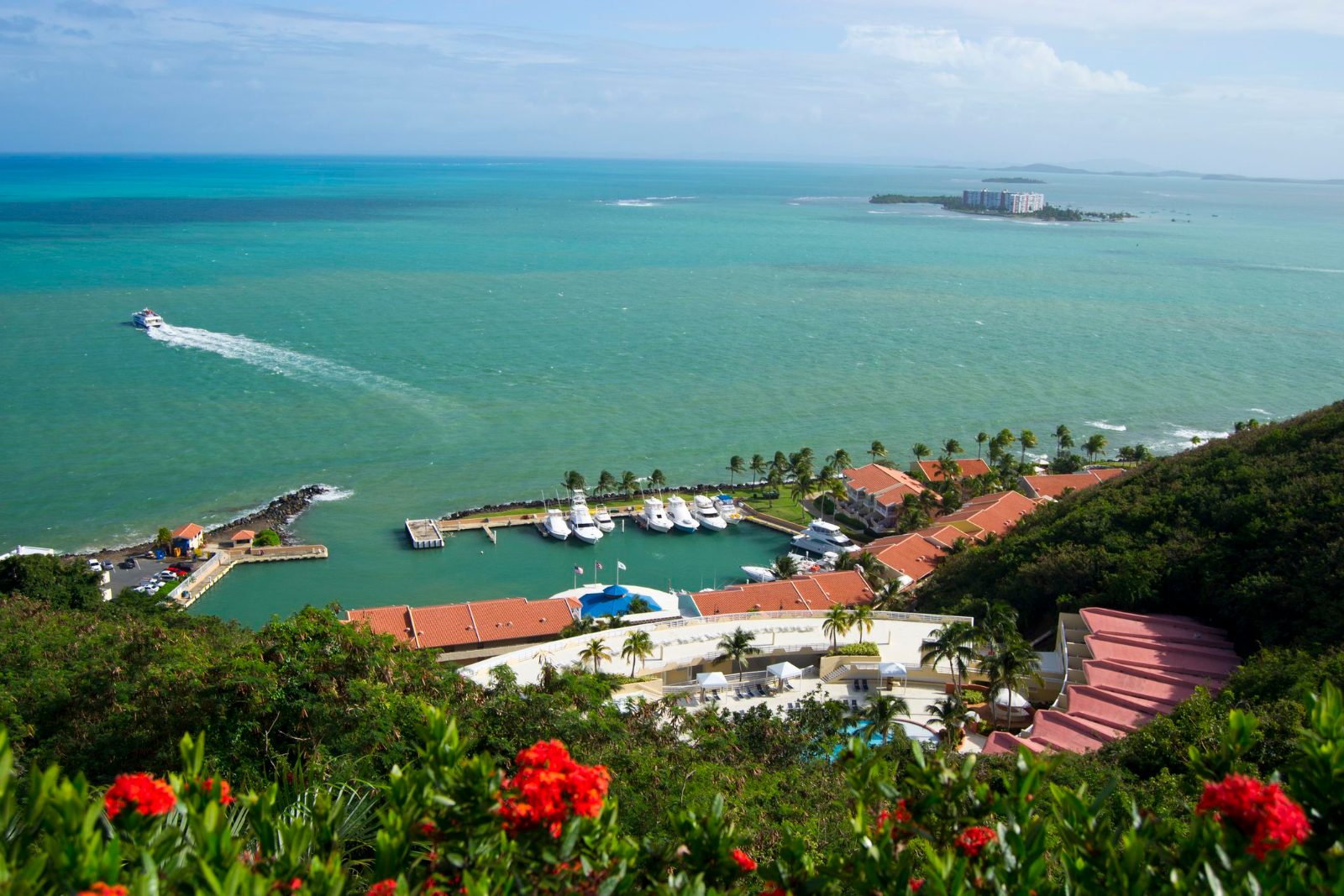 Fajardo