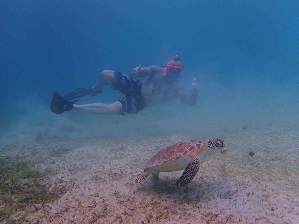Tamarindo Reef