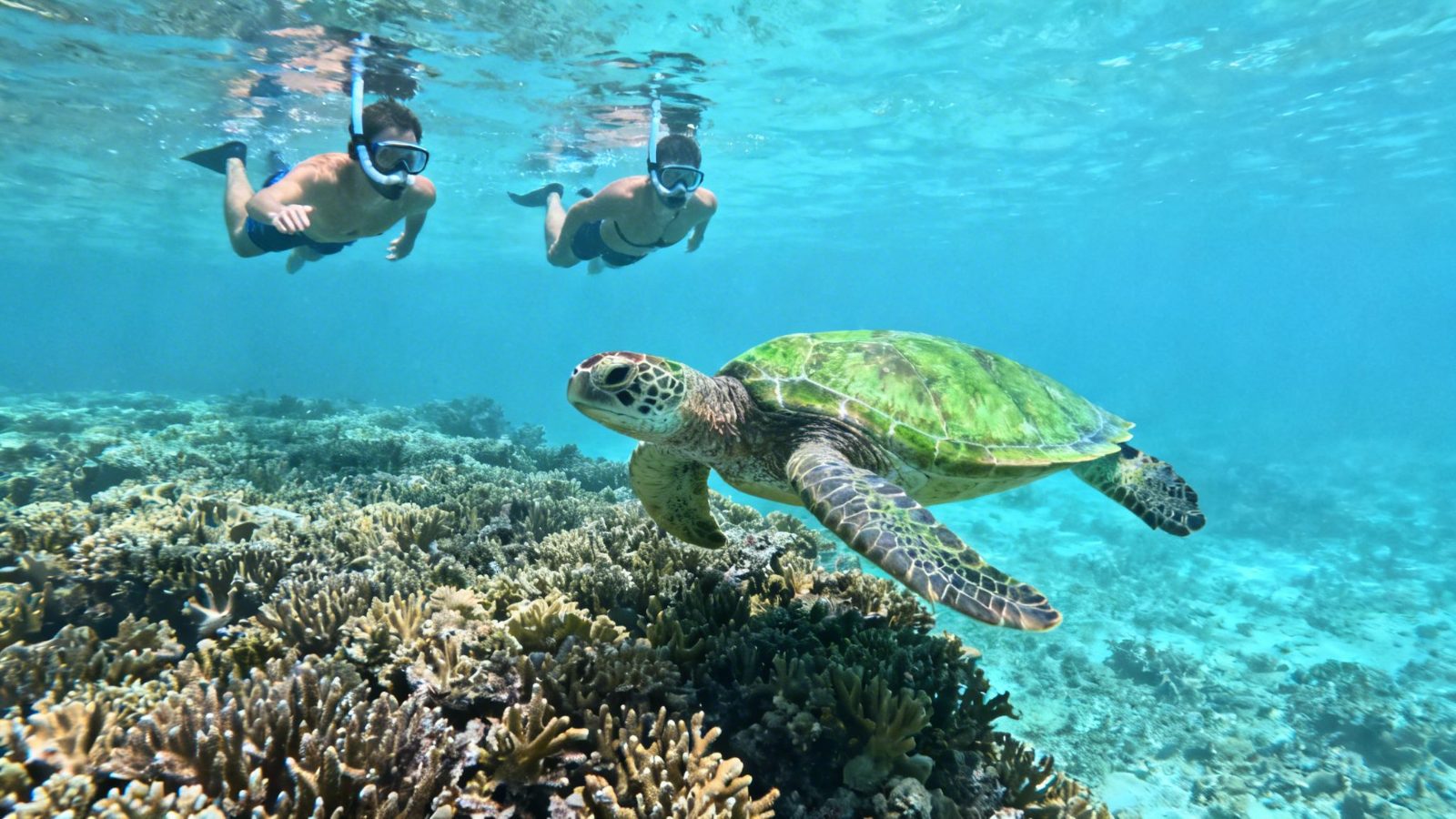 Best Snorkeling Tours in Puerto Rico