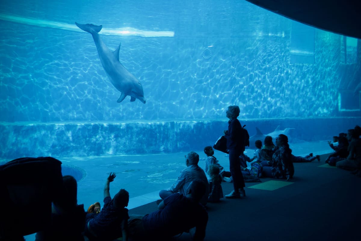 Acquario di Genova