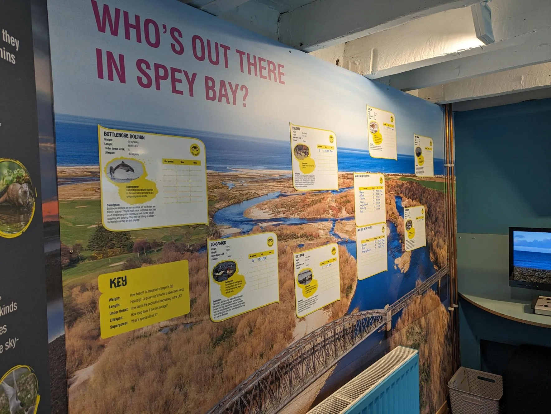 Cetacean Sighting Board