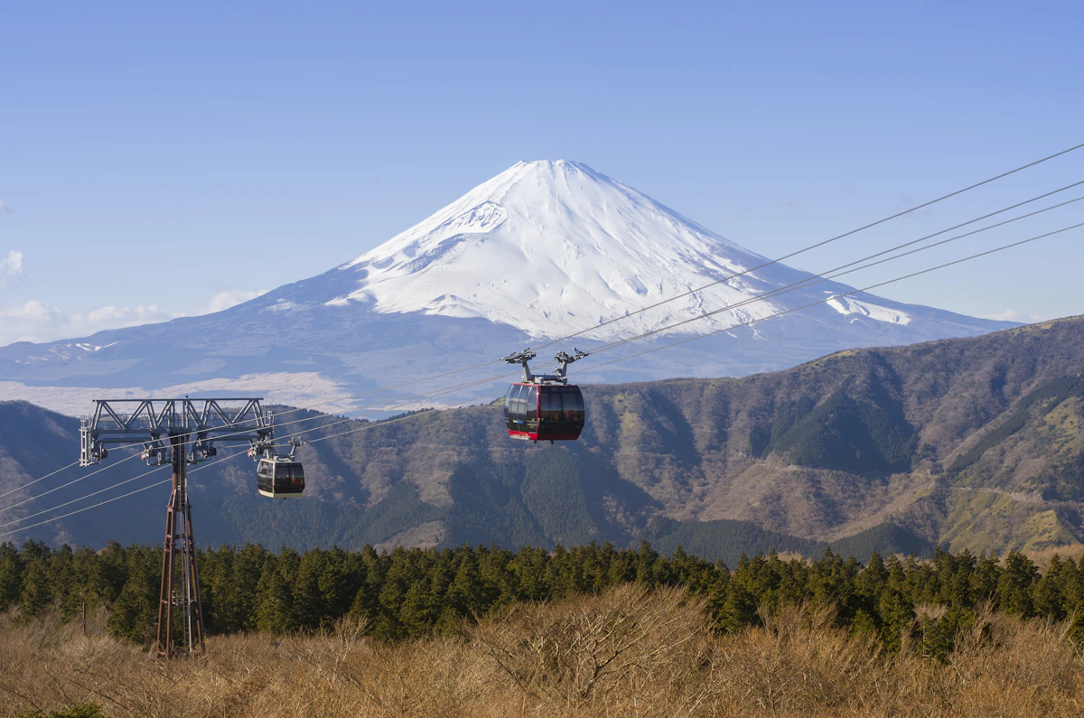 Mt Fuji Day Trip Bus Tour From Tokyo