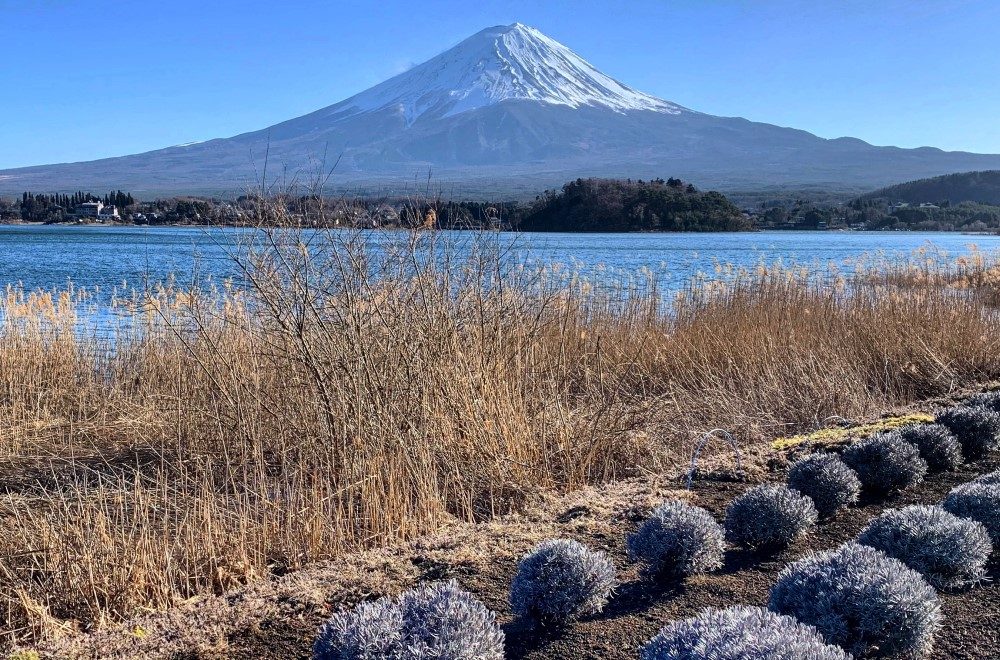 Lake Kawaguchi Oishi Park