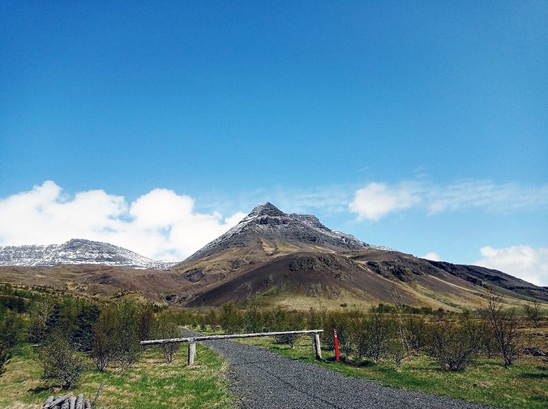 Esjan Mountain Backdrop