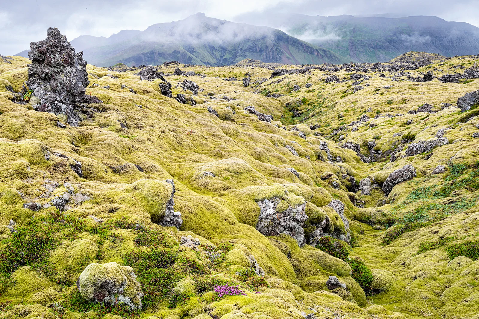 Volcanic Trails