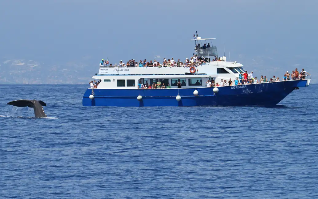 Boarding the Vessel