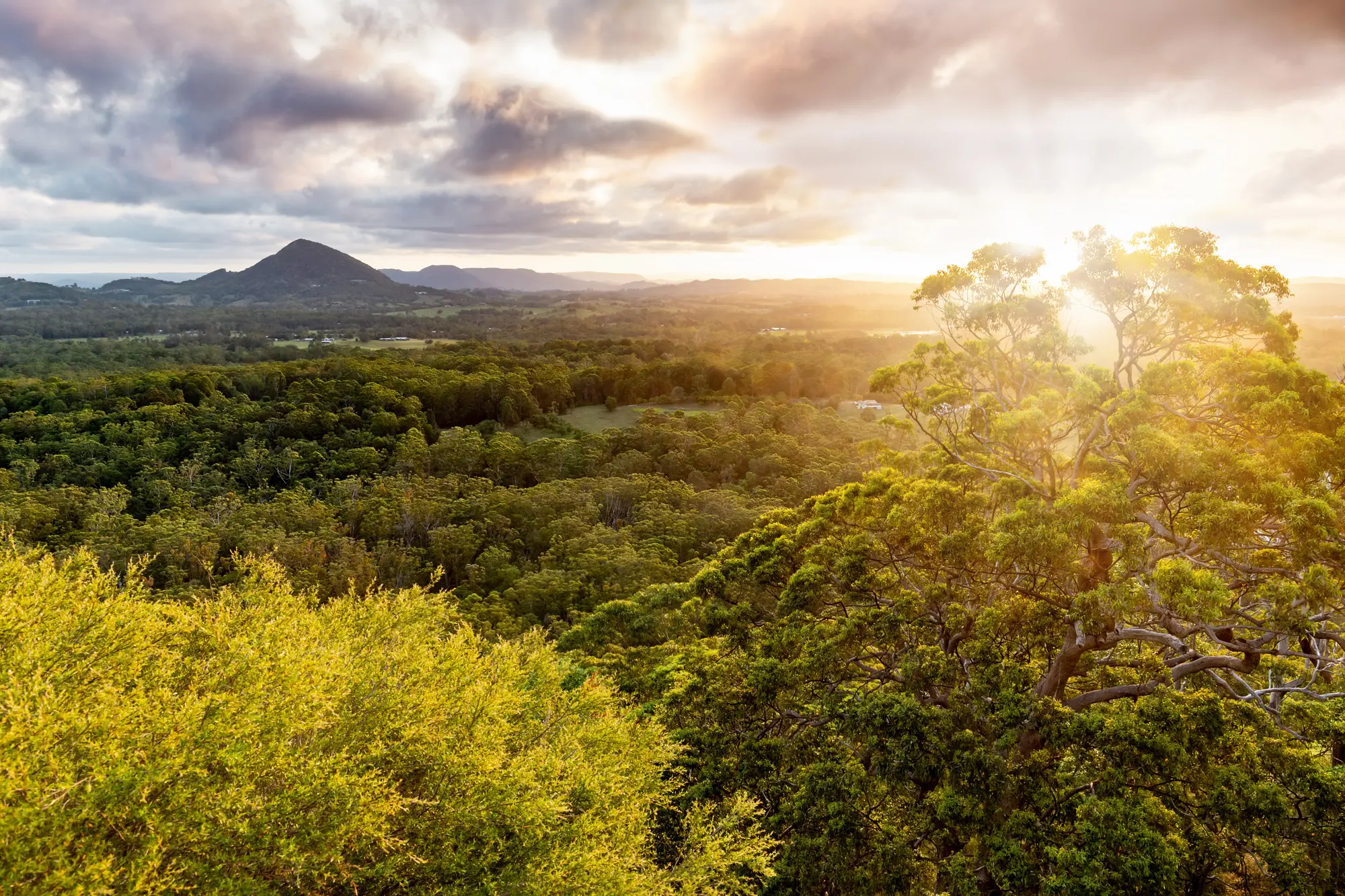 Mount Tinbeerwah
