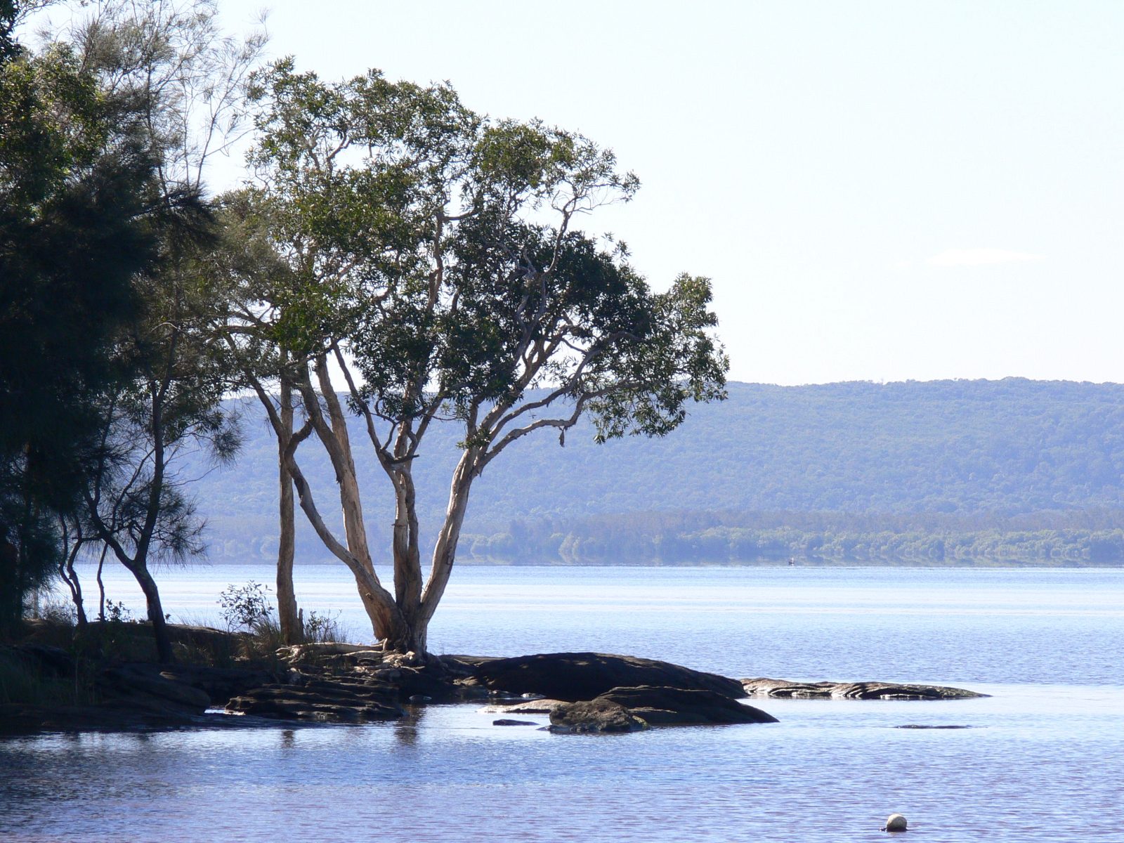 Boreen Point