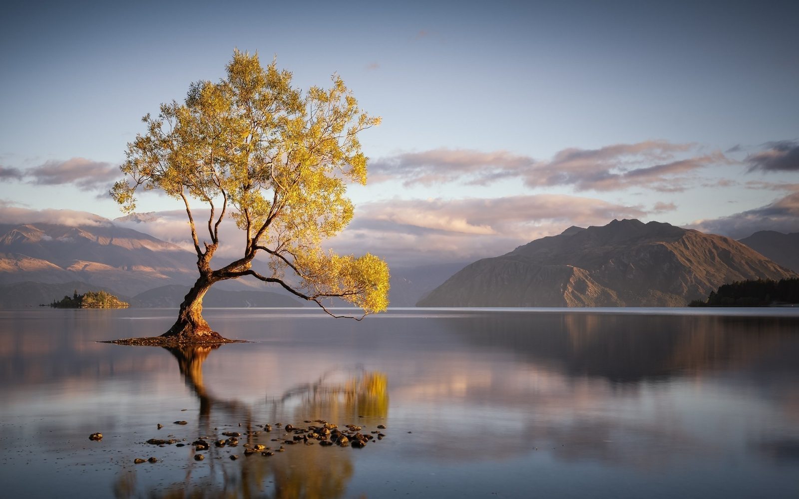 Fig Tree Lake Mirror Waters