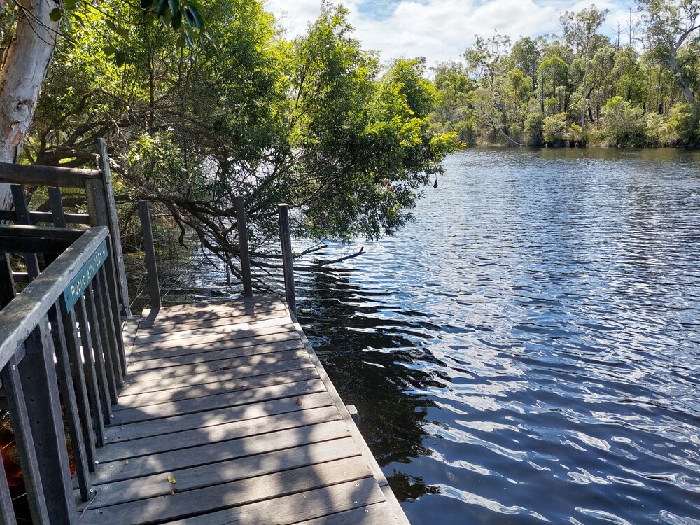 Harry's Hut Riverbank
