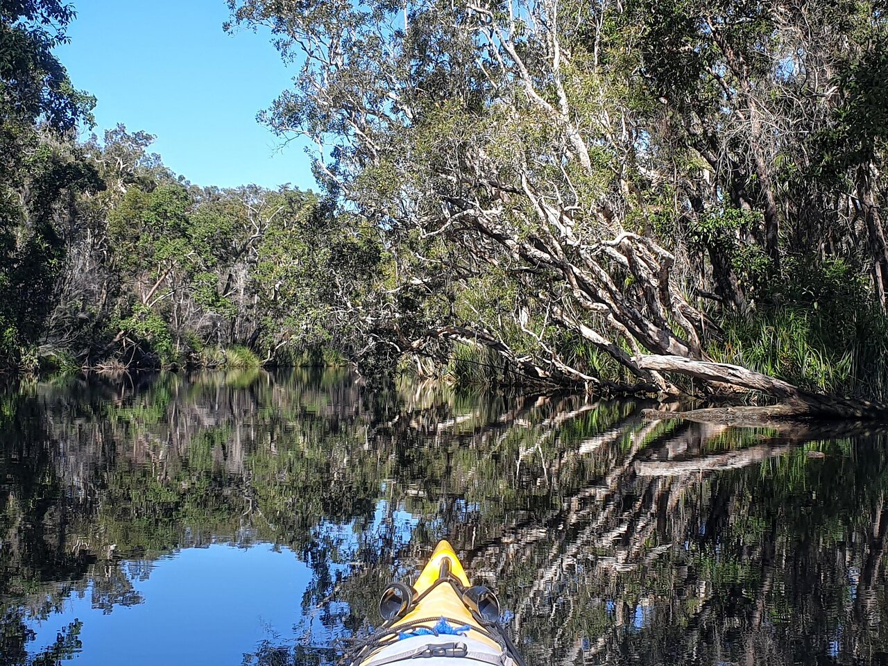 Noosa Everglades Private Tour