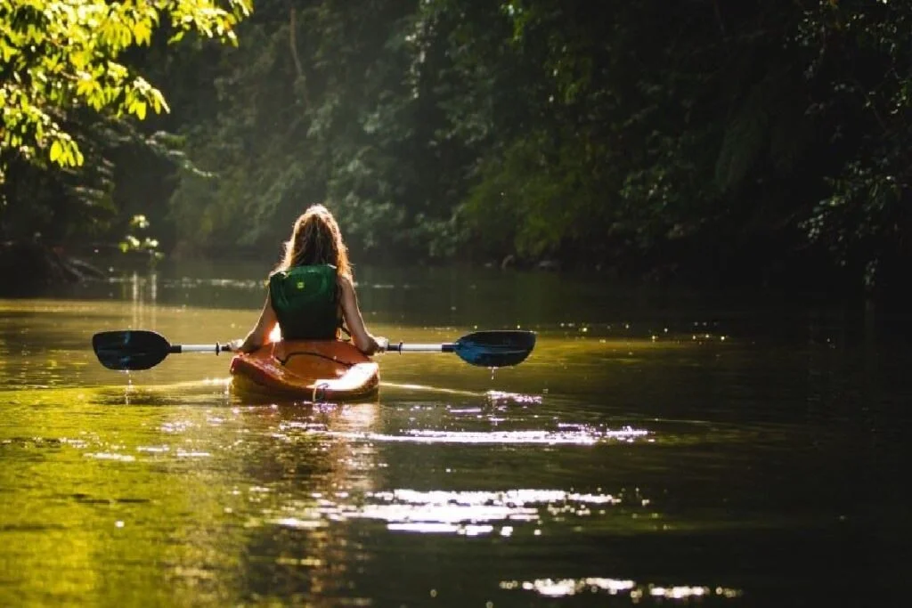 Noosa Everglades Tour Kayak