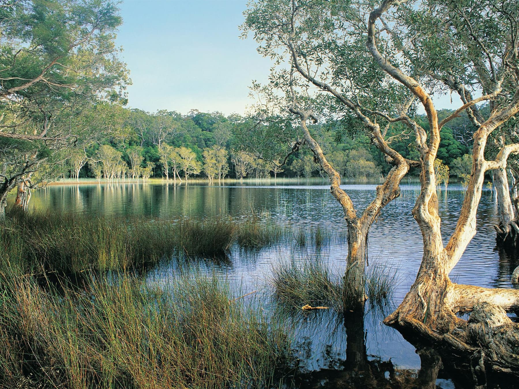 Upper Noosa River Bends