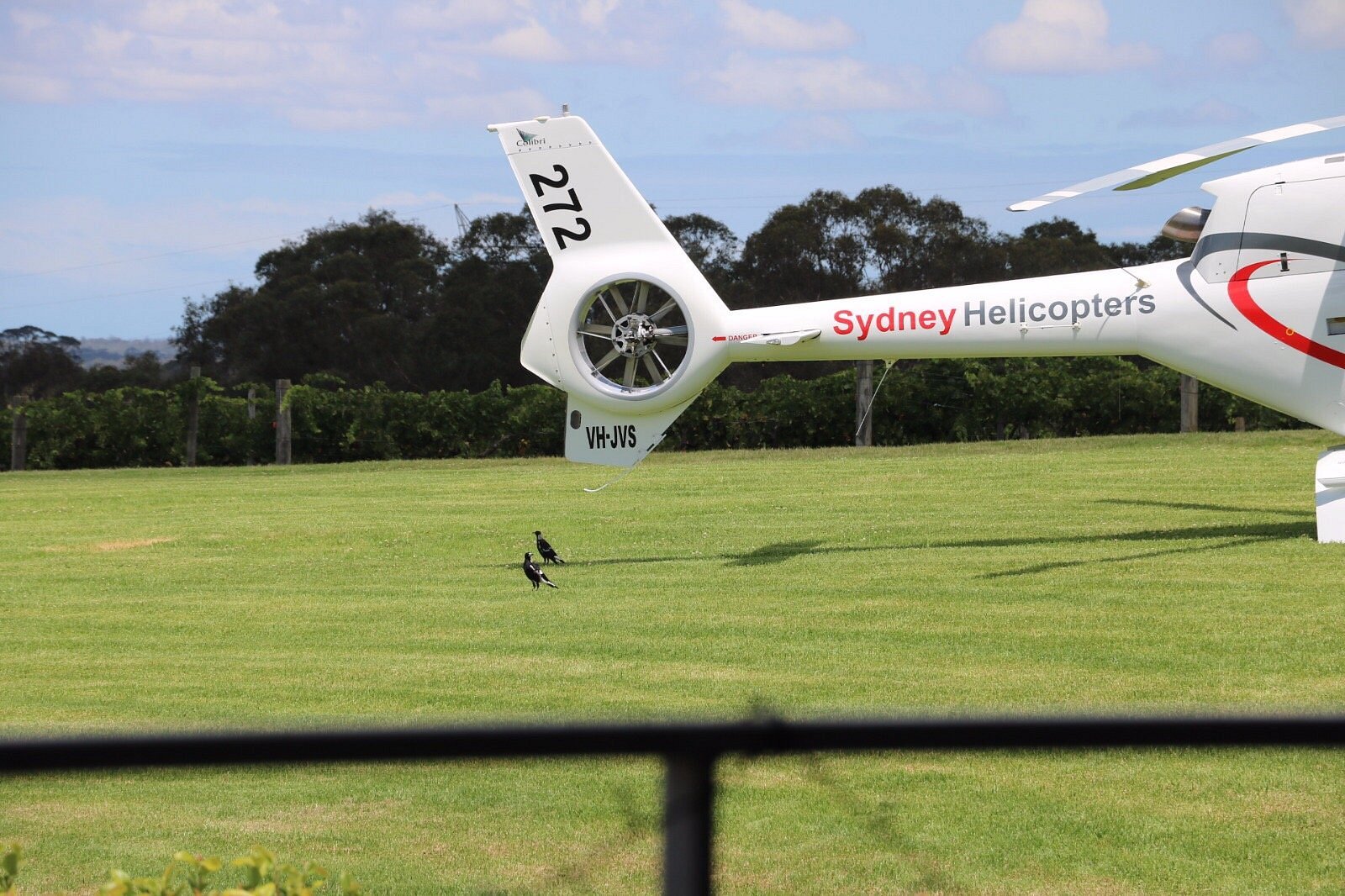 Terminal Helipad Approach