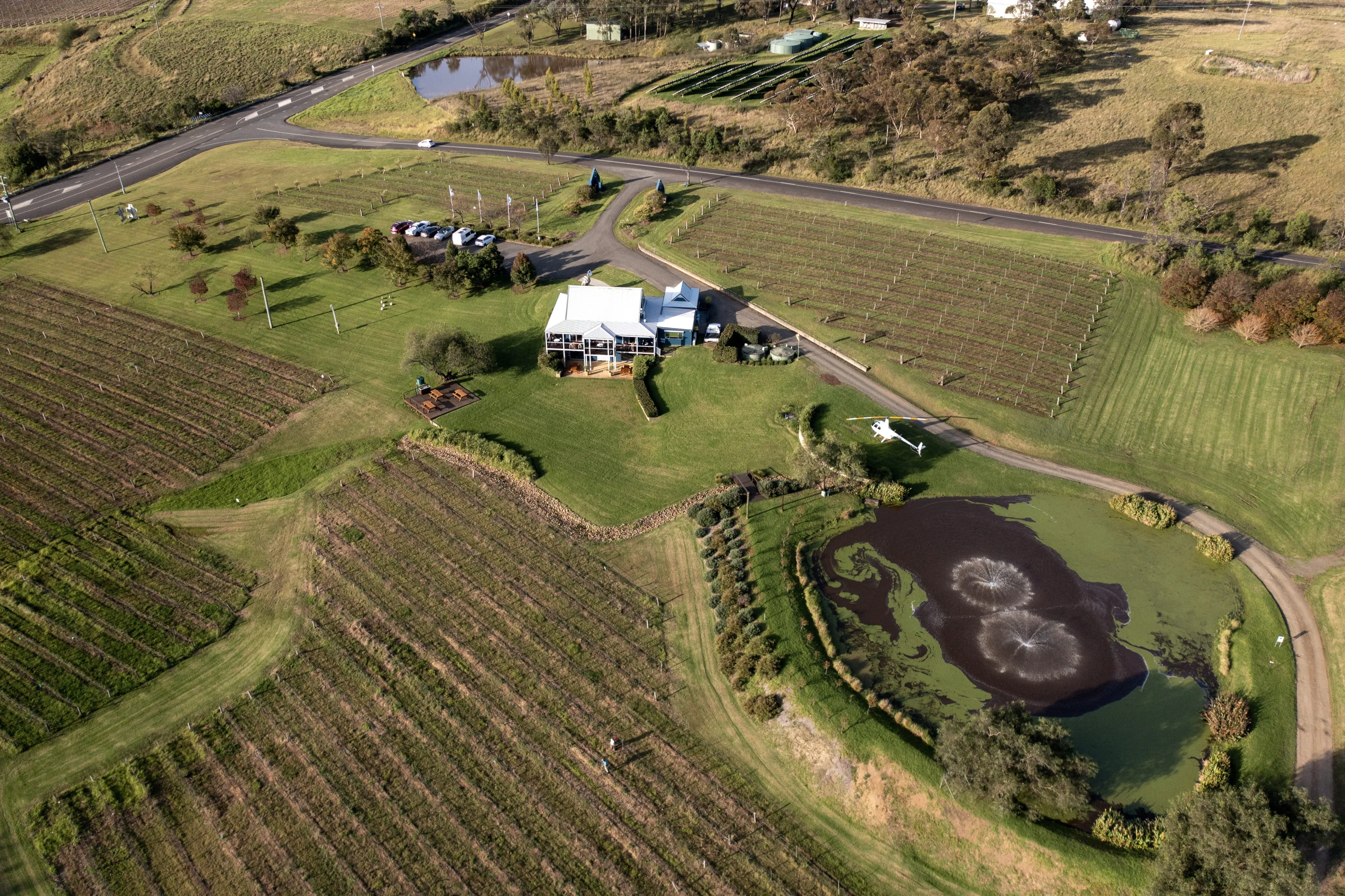 Hunter Valley Vineyards