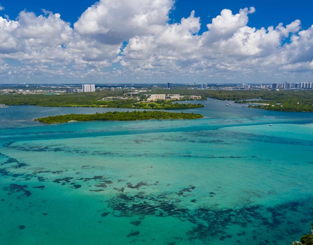 The Open Bay Horizon