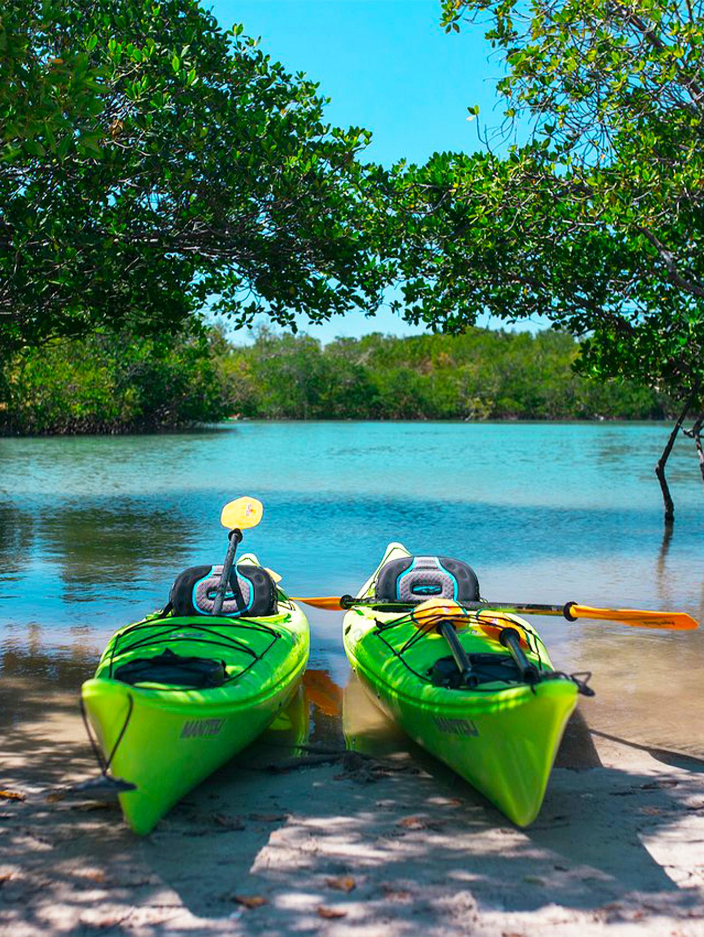 The Kayak Launch Point