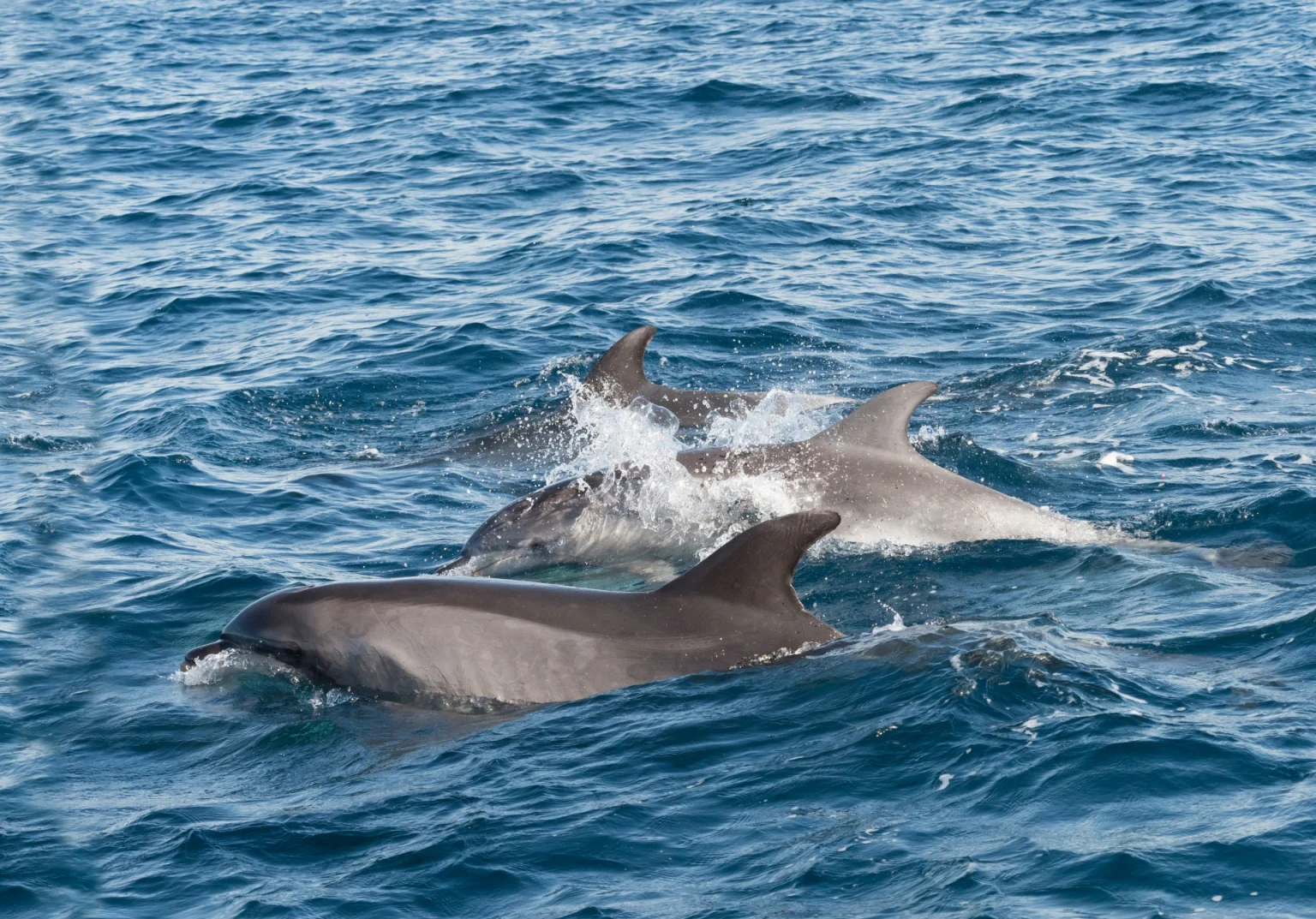 Sailing the Strait of Gibraltar