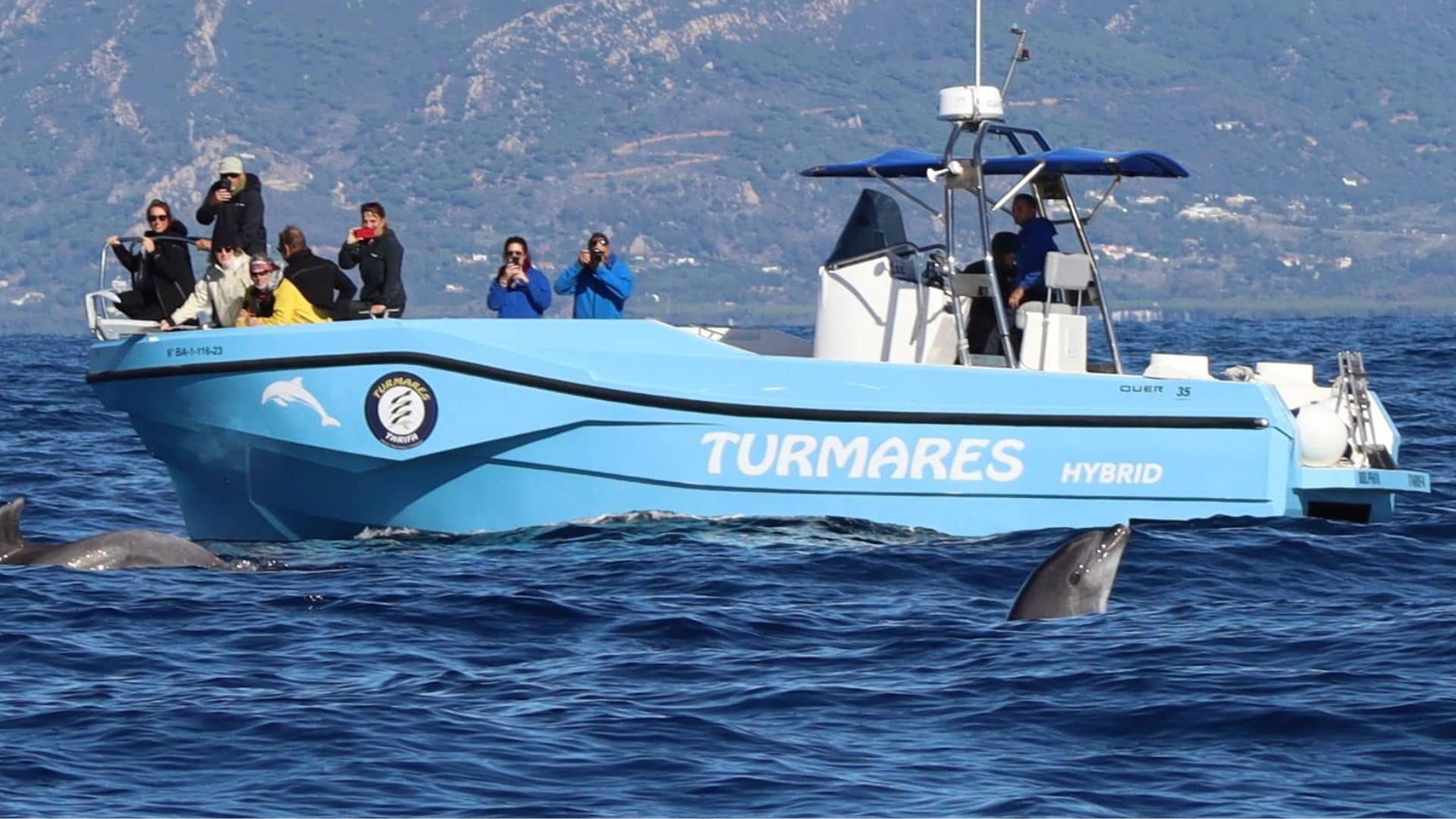 Dolphin Tarifa Bow