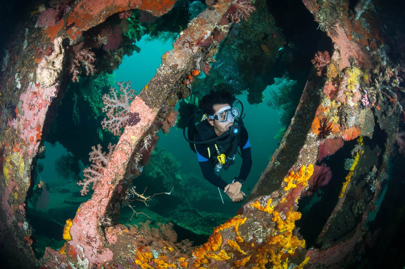 Diving in Bali Padi