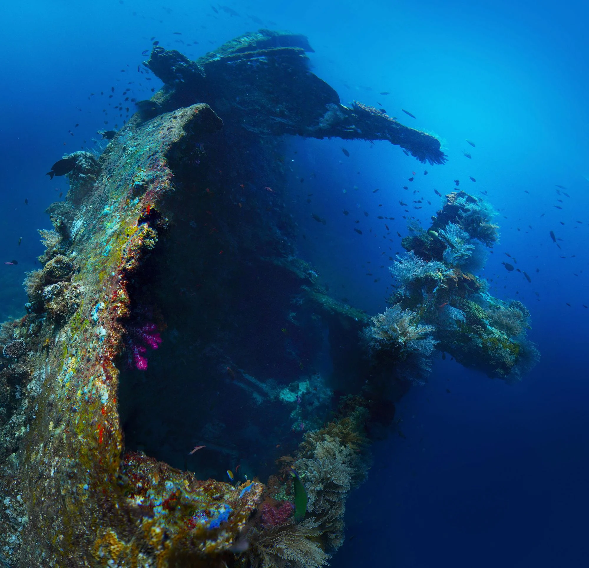 USAT Liberty Wreck