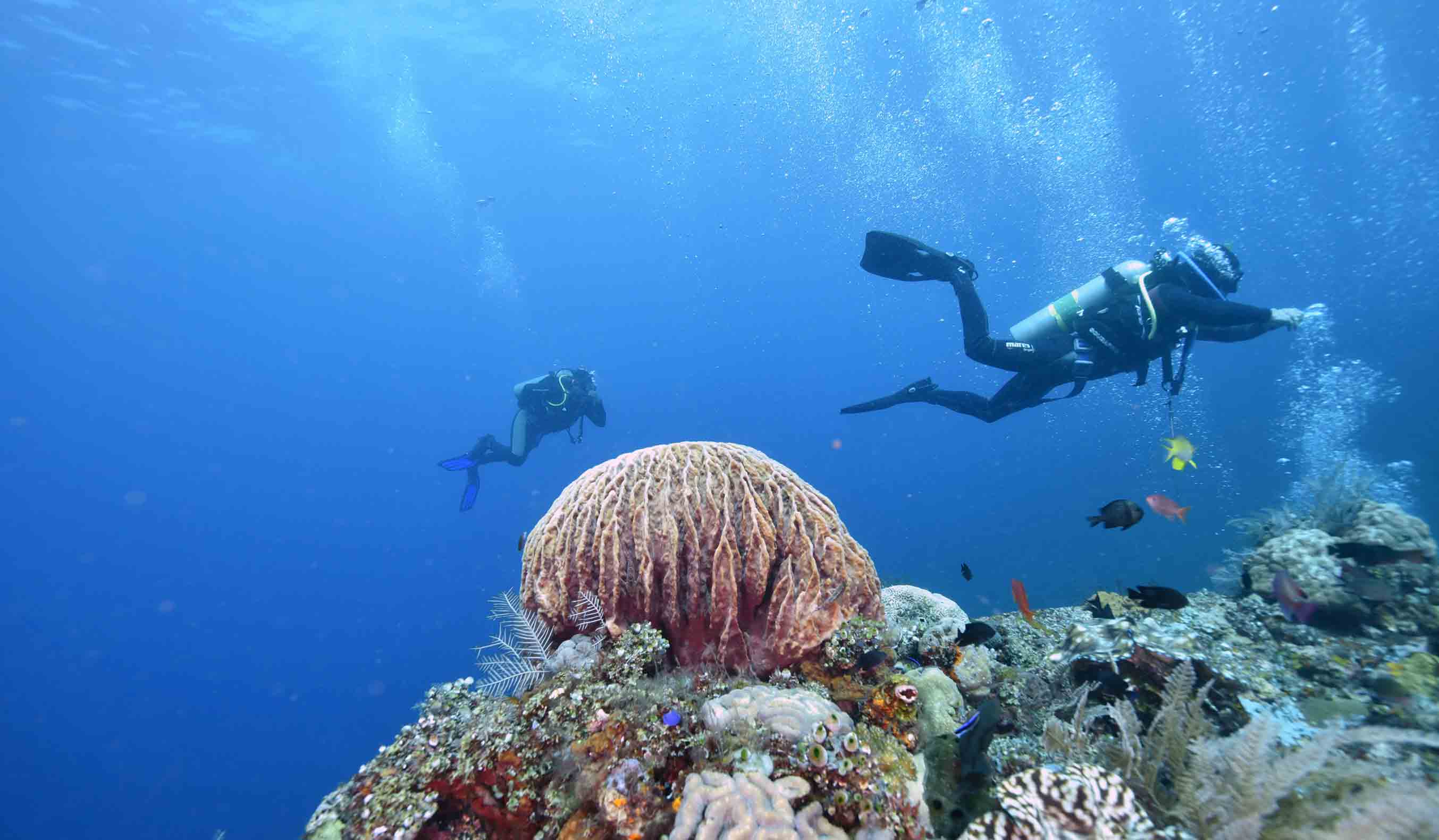 Diving Courses in Bali